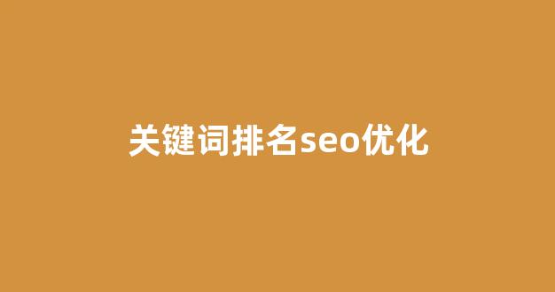 seo搜索排名优化
