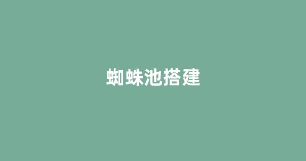 免费seo排名优化